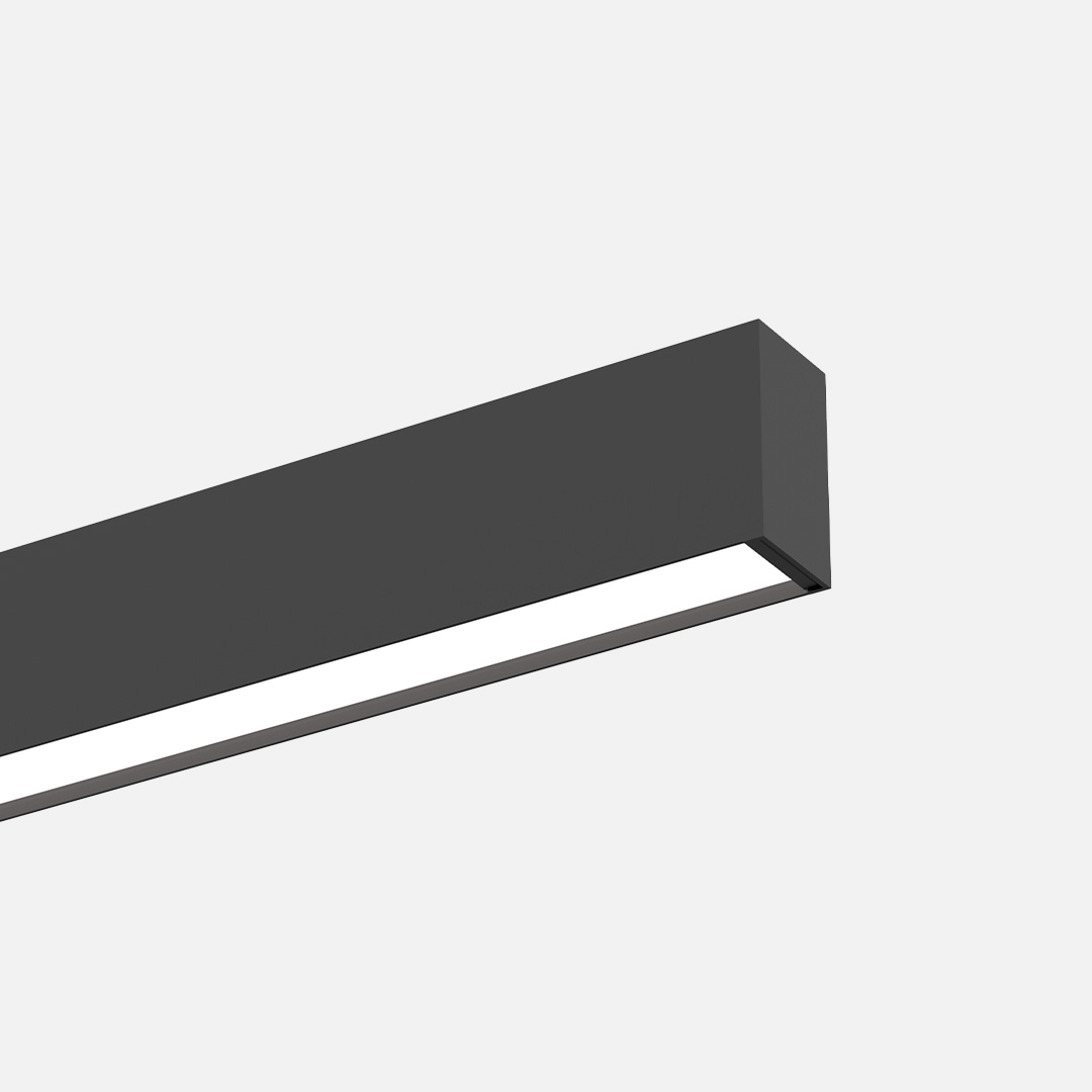 DIFFUSE LIGHT